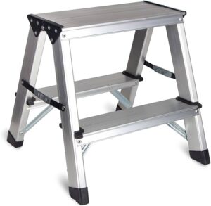 2' Ladder
